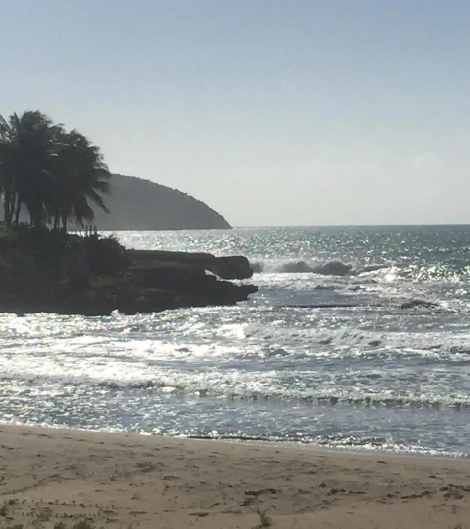 Hotel Taino Cove Treasure Beach Jamajka
